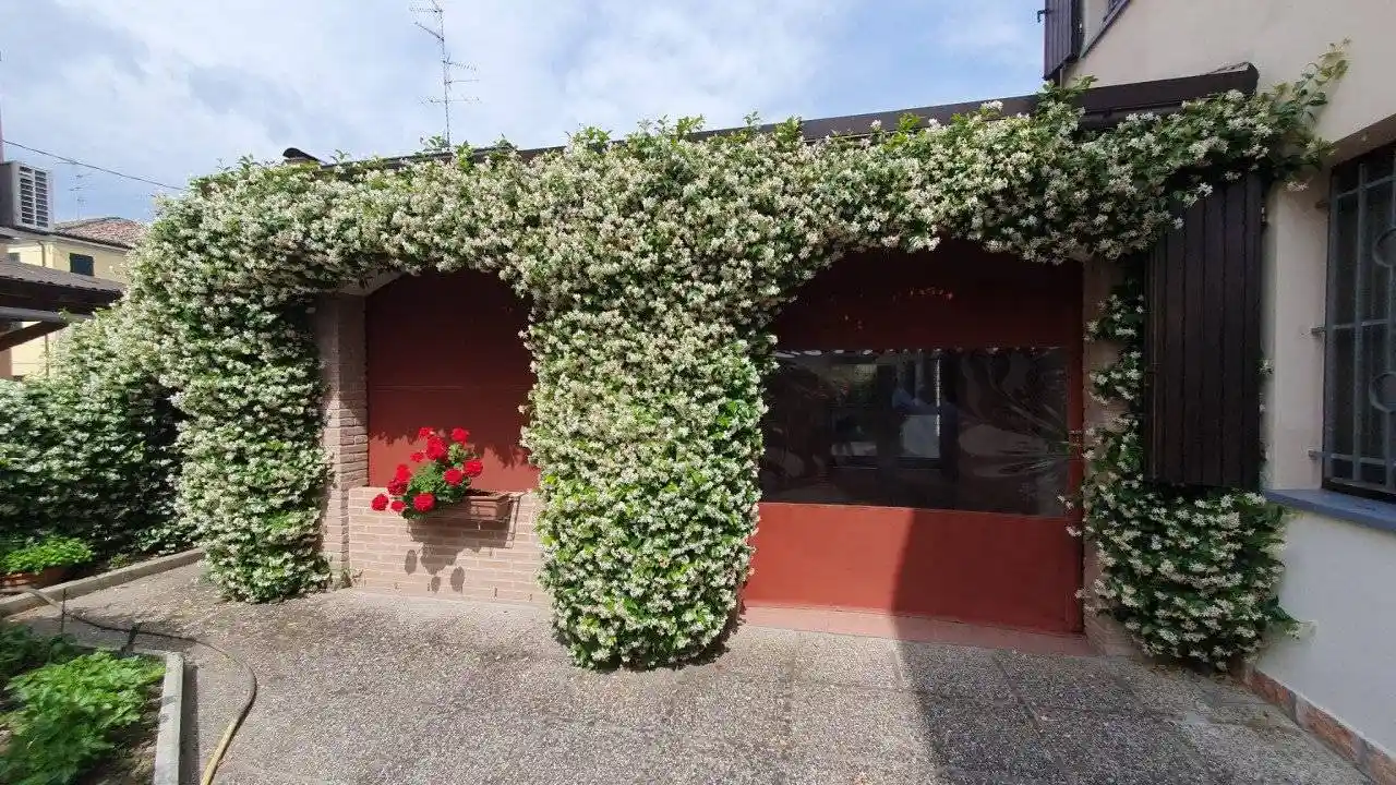 Villa in vendita a Cavezzo