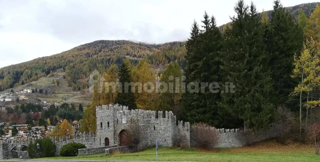 Appartamento in affitto a Ponte di Legno