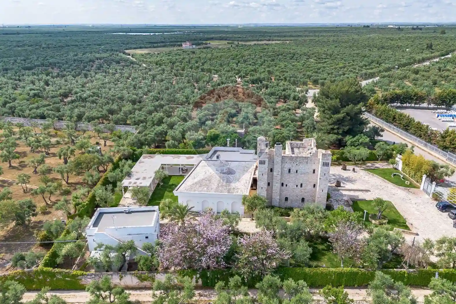 Palazzo - Edificio - foto 4