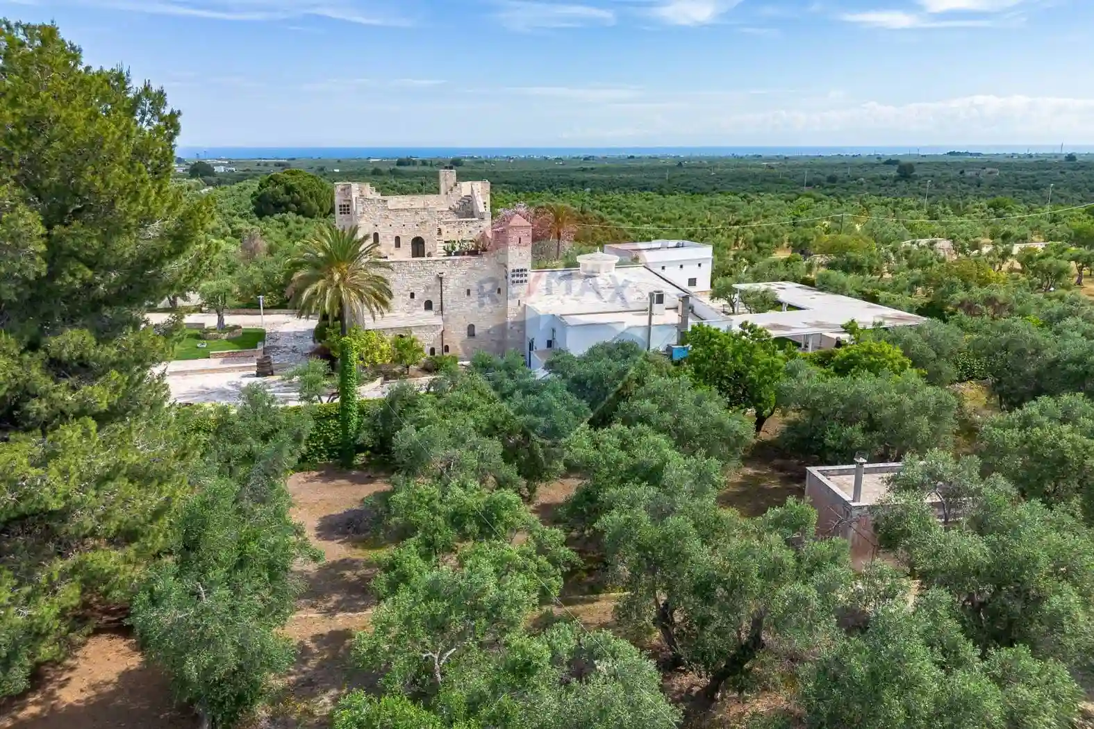 Palazzo - Edificio - foto 5