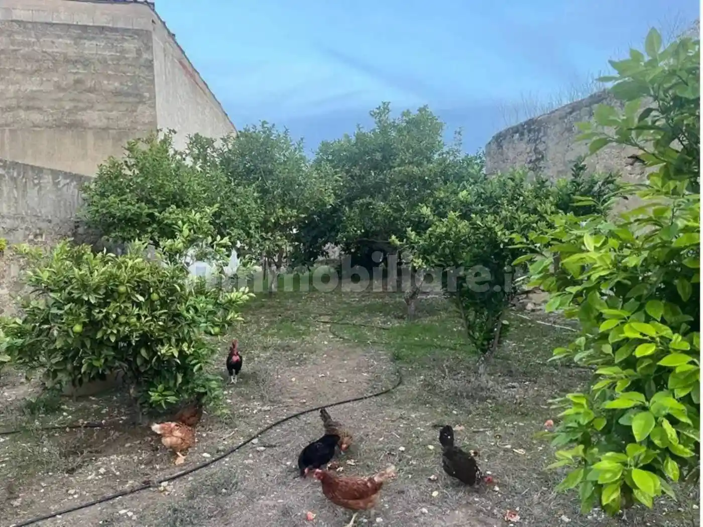 Rustico - Casale - foto 2