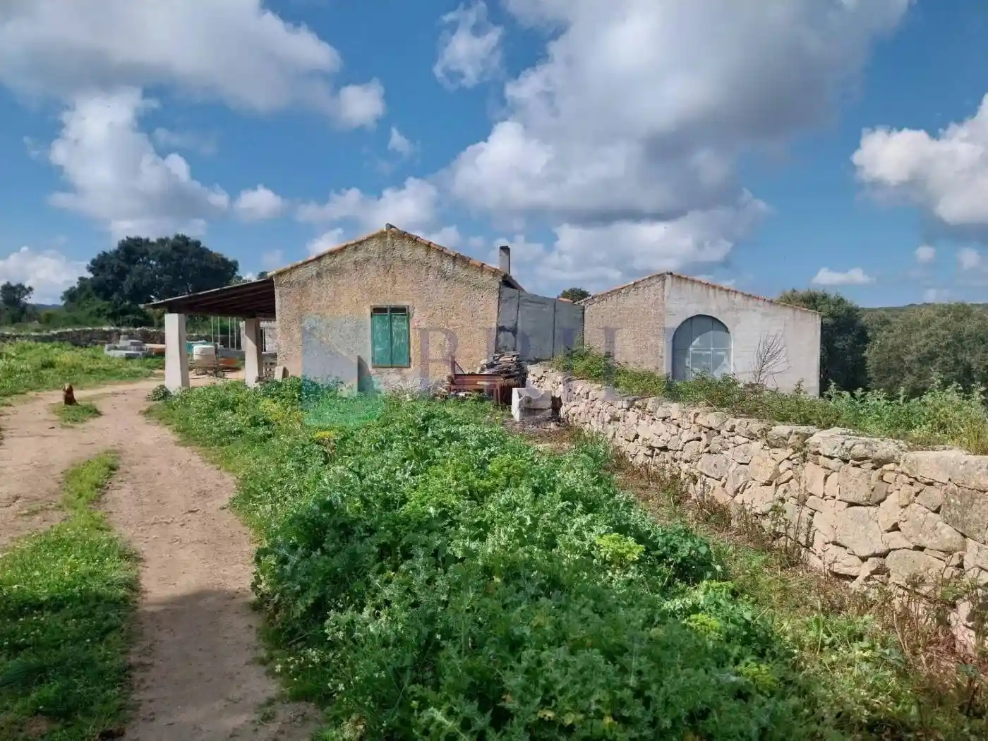 Rustico - Casale in vendita a Luras