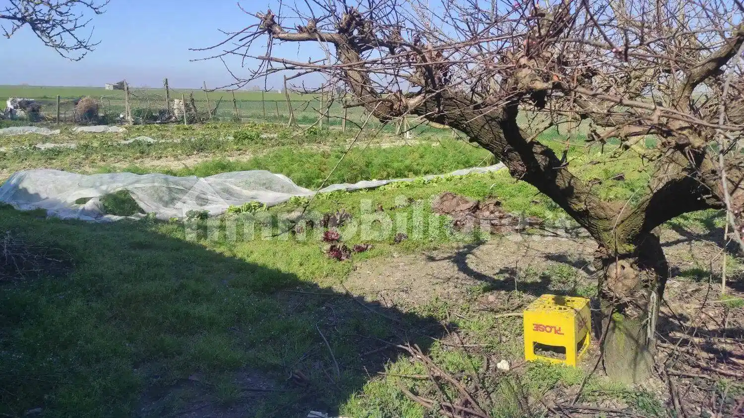 Villa unifamiliare via Basilica, 154 A, Sant'Alberto, Ravenna - foto 2