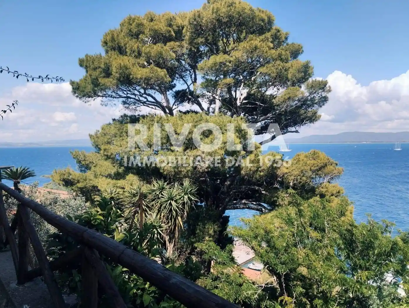 Appartamento in affitto a Monte Argentario
