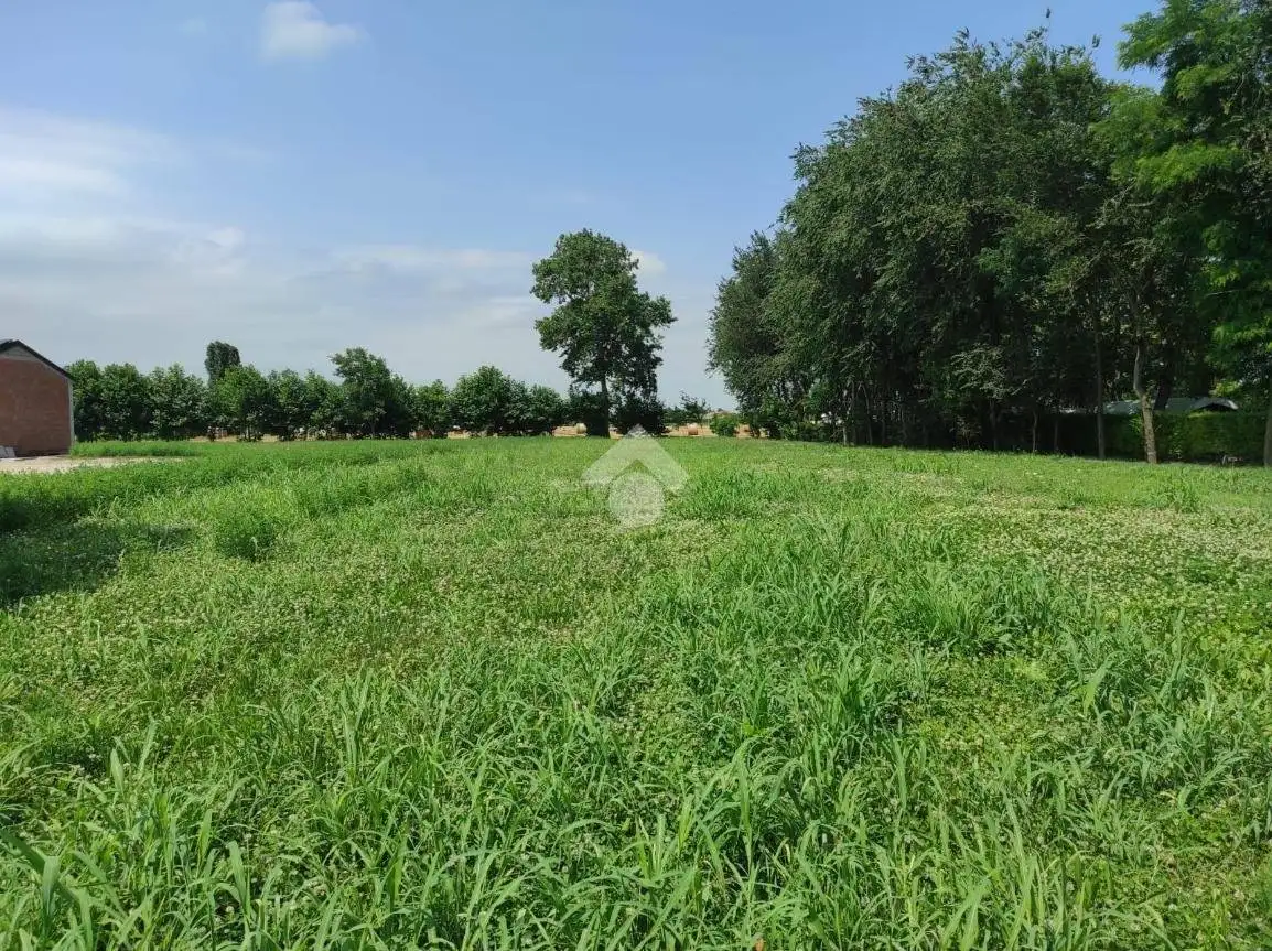 Rustico via Piave 5, Arzergrande - foto 5