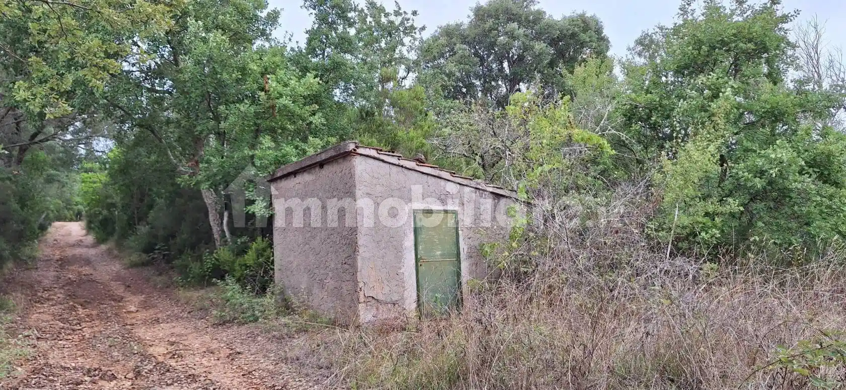 Rustico - Casale in vendita a Campagnatico