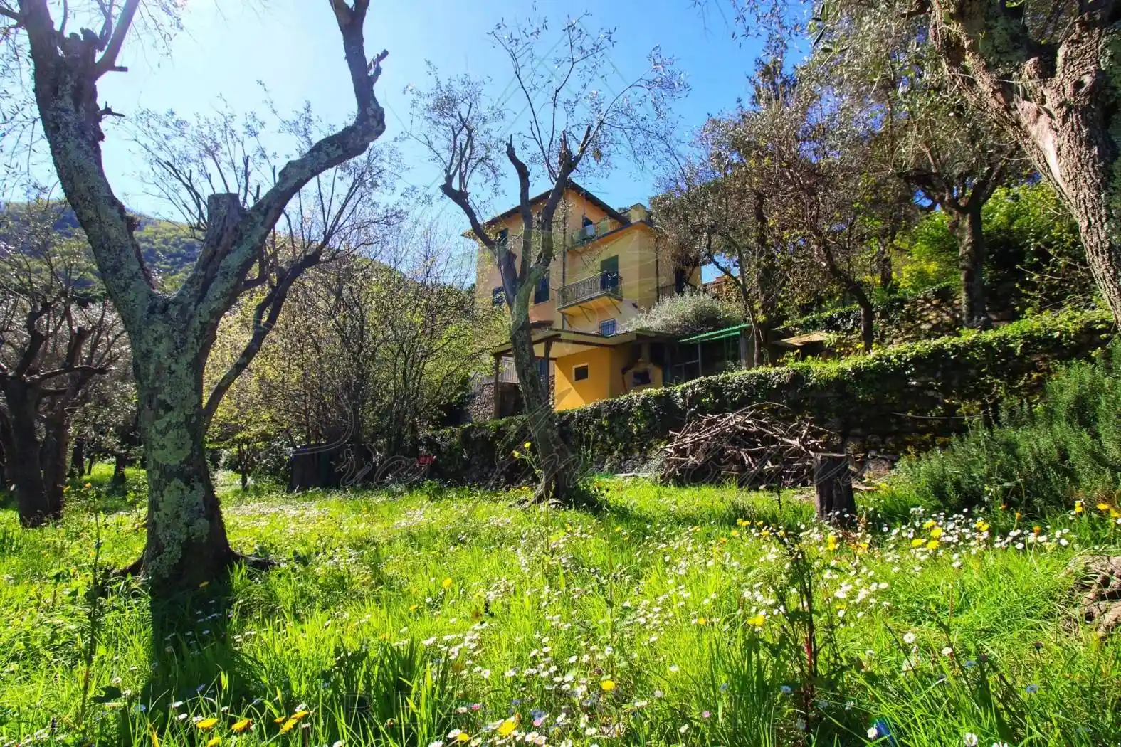 Villa unifamiliare via Franco Molfino, San Rocco, Camogli - foto 2