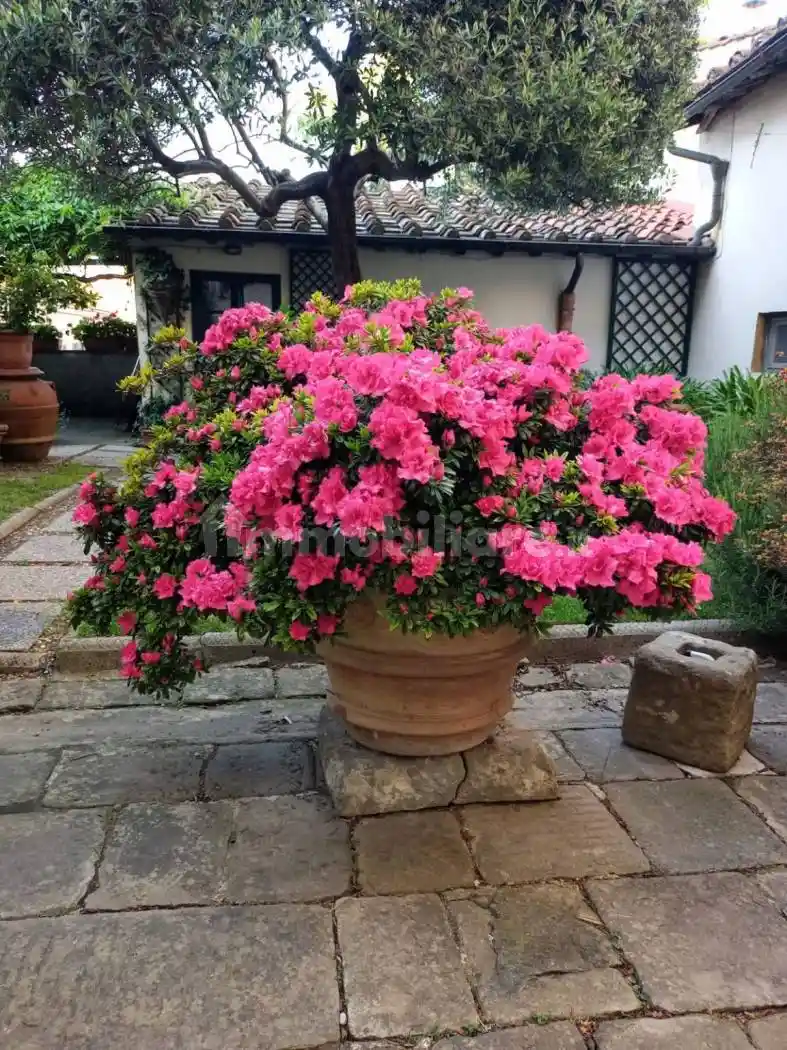 Quadrilocale via Bolognese 40, Bolognese, Firenze - foto 4