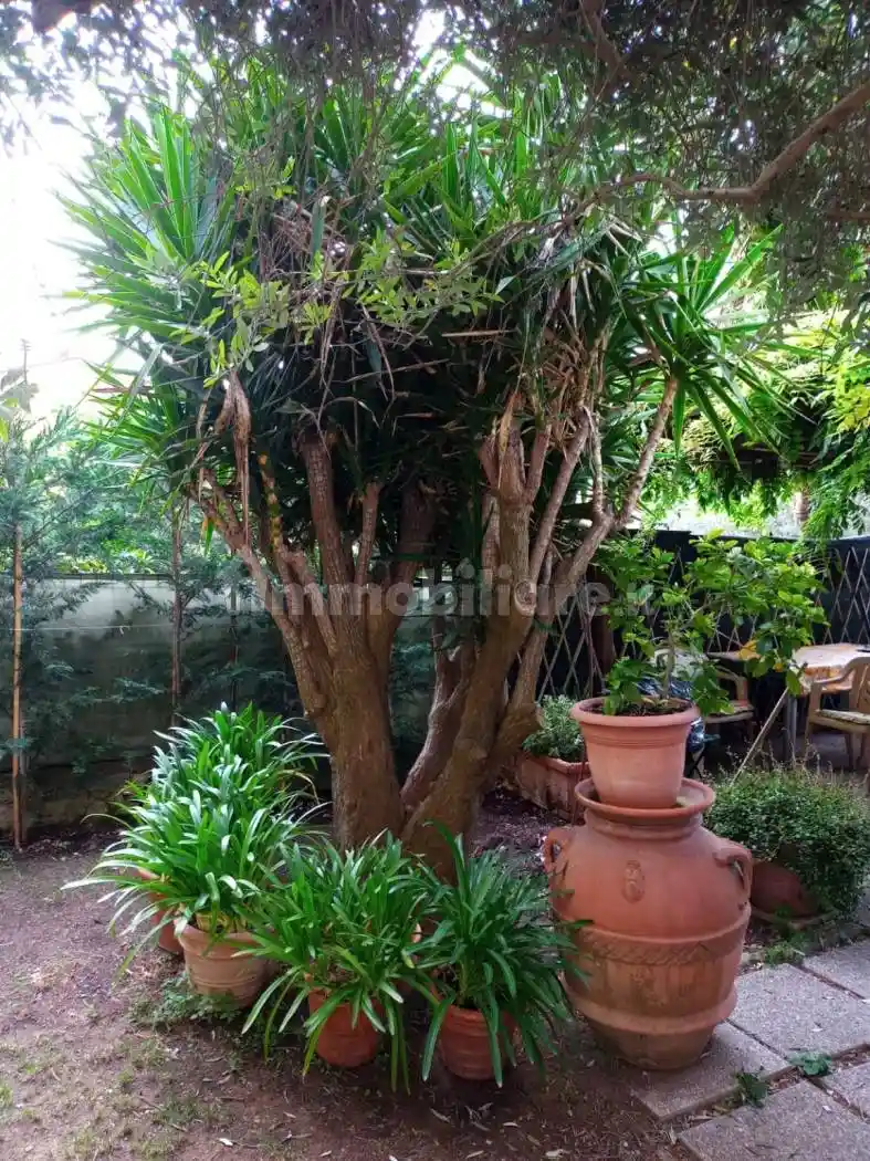 Quadrilocale via Bolognese 40, Bolognese, Firenze - foto 5