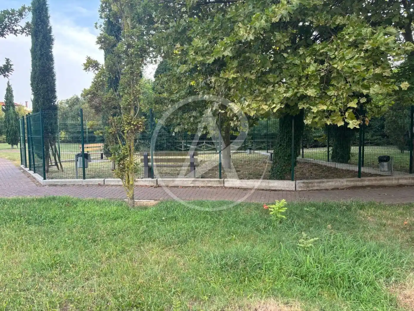 Trilocale via Giovanni Pividor 20, Malamocco, Venezia - foto 4