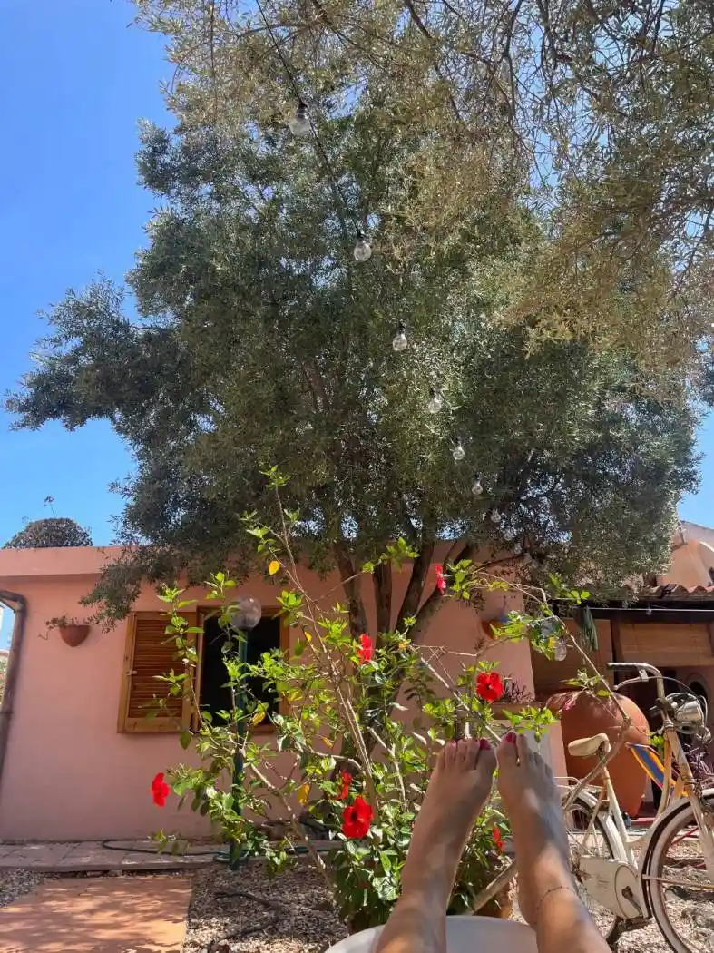 Villetta a schiera in affitto a San Teodoro