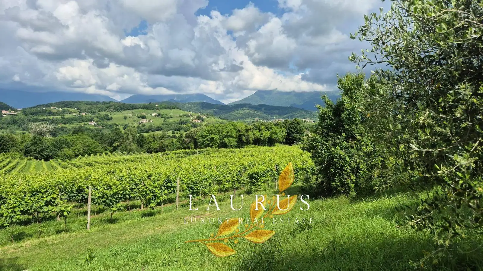 Villa in vendita a Refrontolo