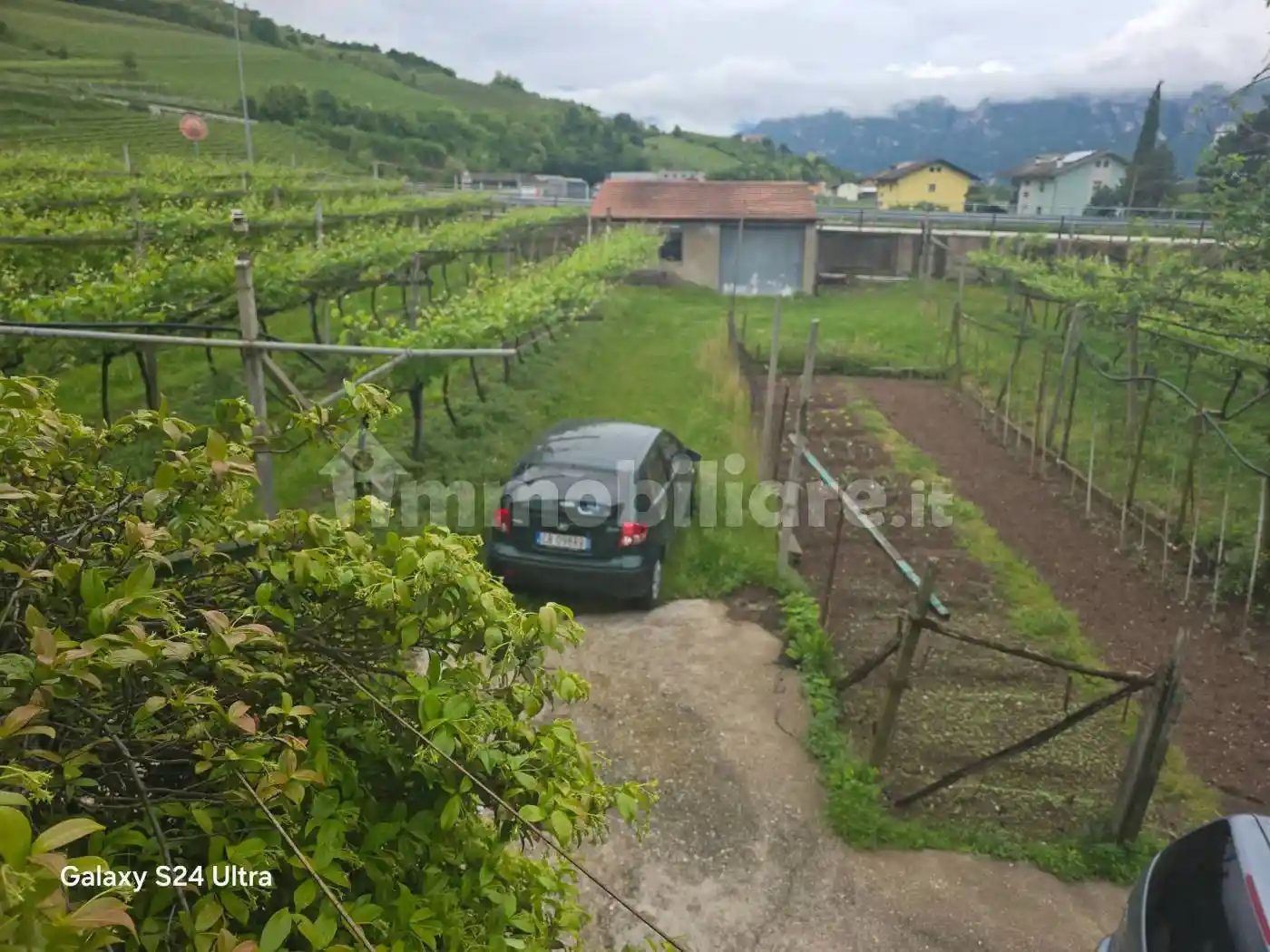 Palazzo - Edificio in vendita a Lavis