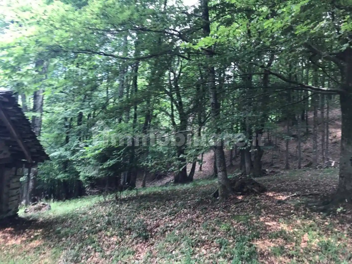 Baita Strada Comunale Casetti, Boccioleto - foto 5