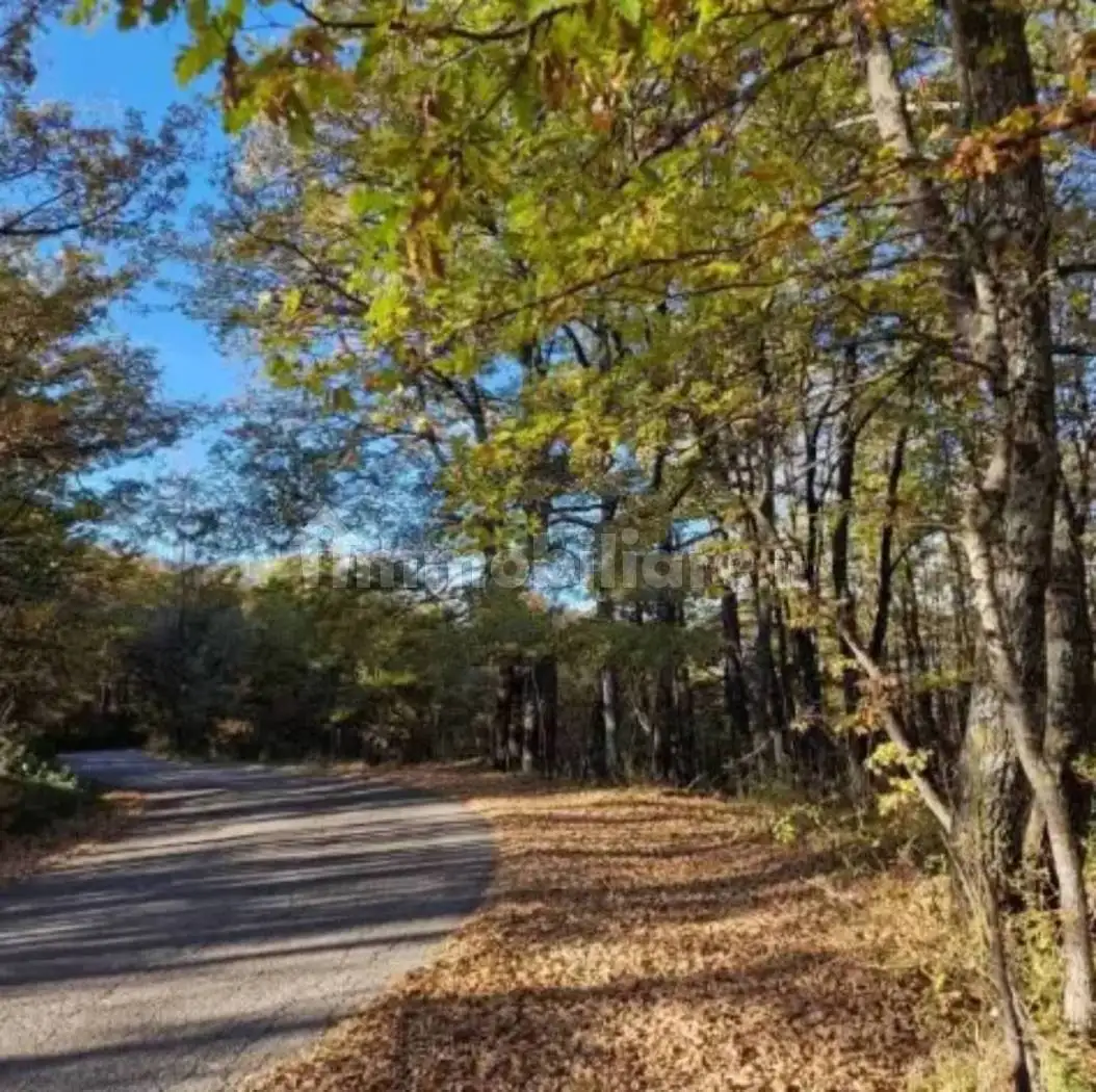 Villa in vendita a Menconico