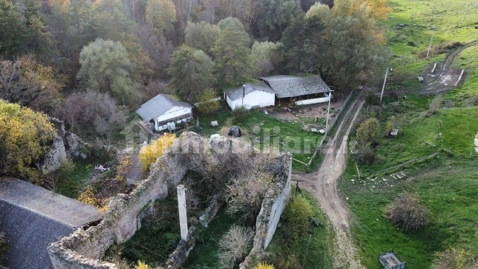 Palazzo - Edificio - foto 3