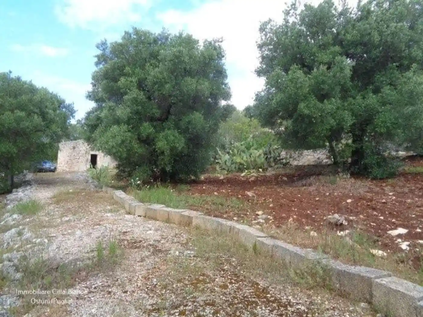 Rustico - Casale in vendita a Ostuni