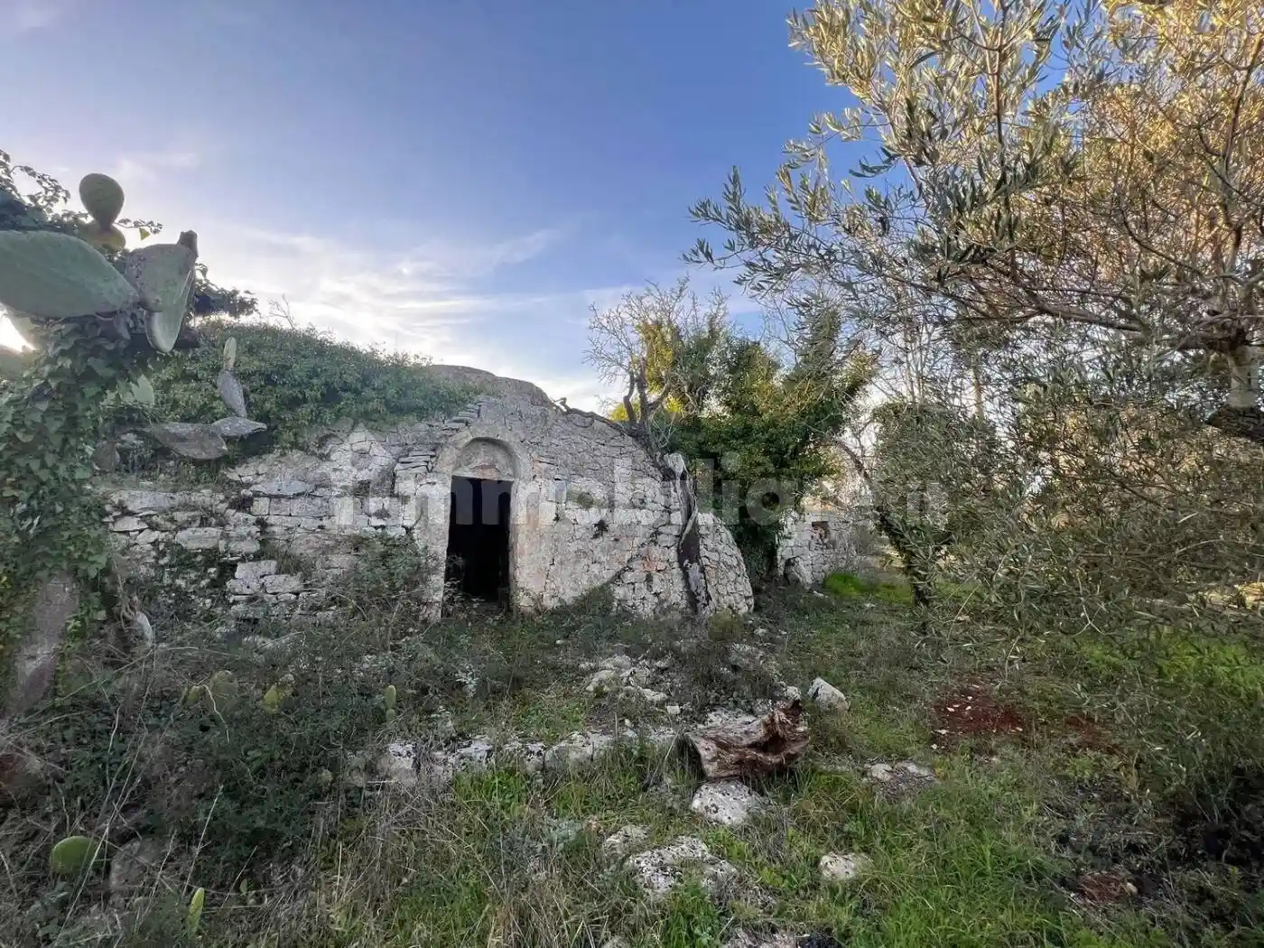 Rustico - Casale in vendita a Ostuni