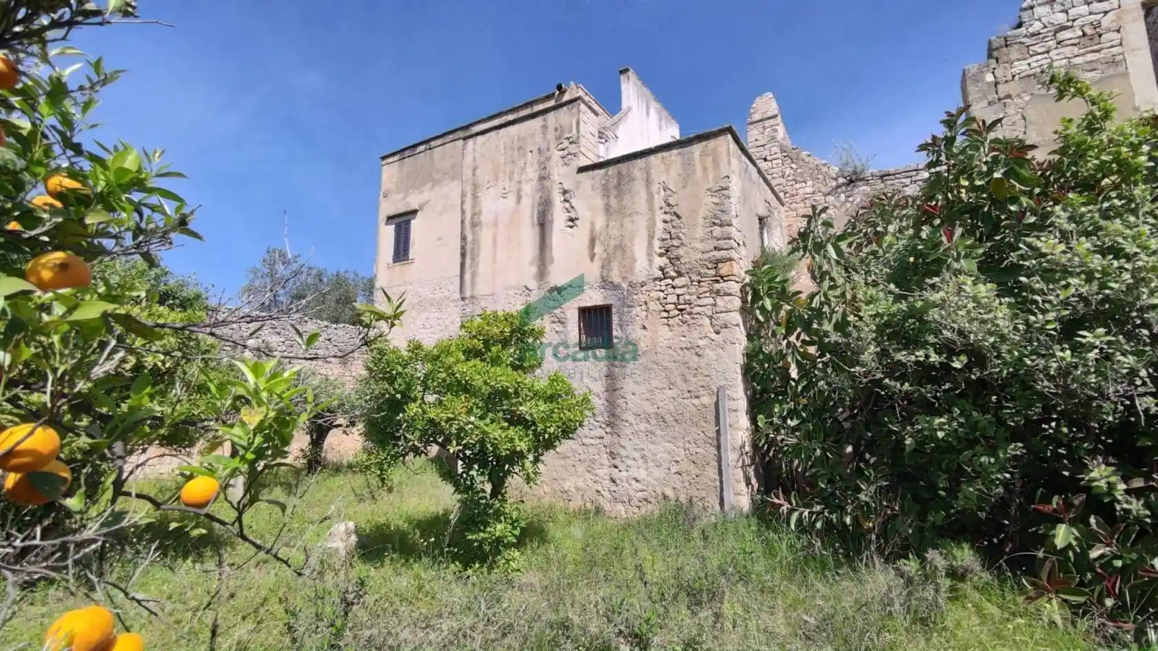 Rustico - Casale in vendita a Giovinazzo