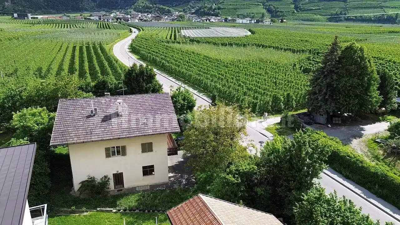 Palazzo - Edificio - foto 2