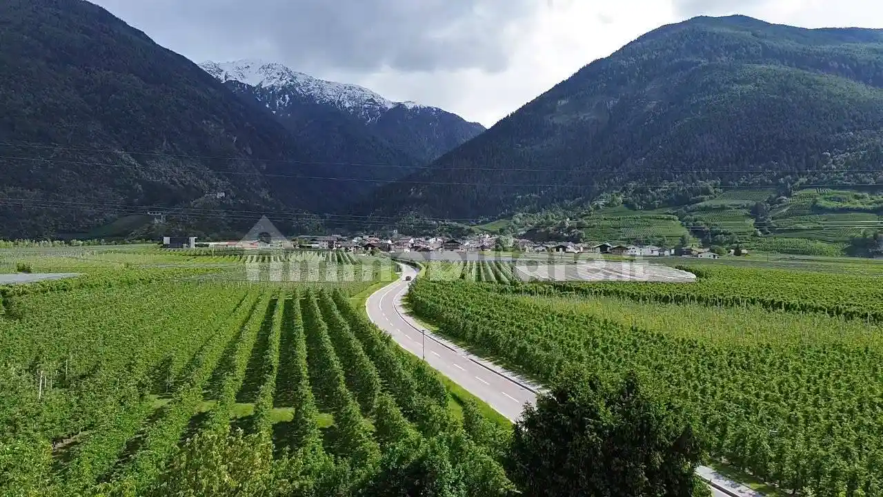 Palazzo - Edificio - foto 3