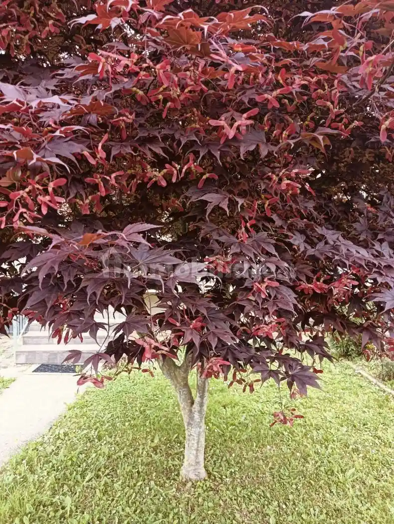 Villetta a schiera in vendita a Giavera del Montello