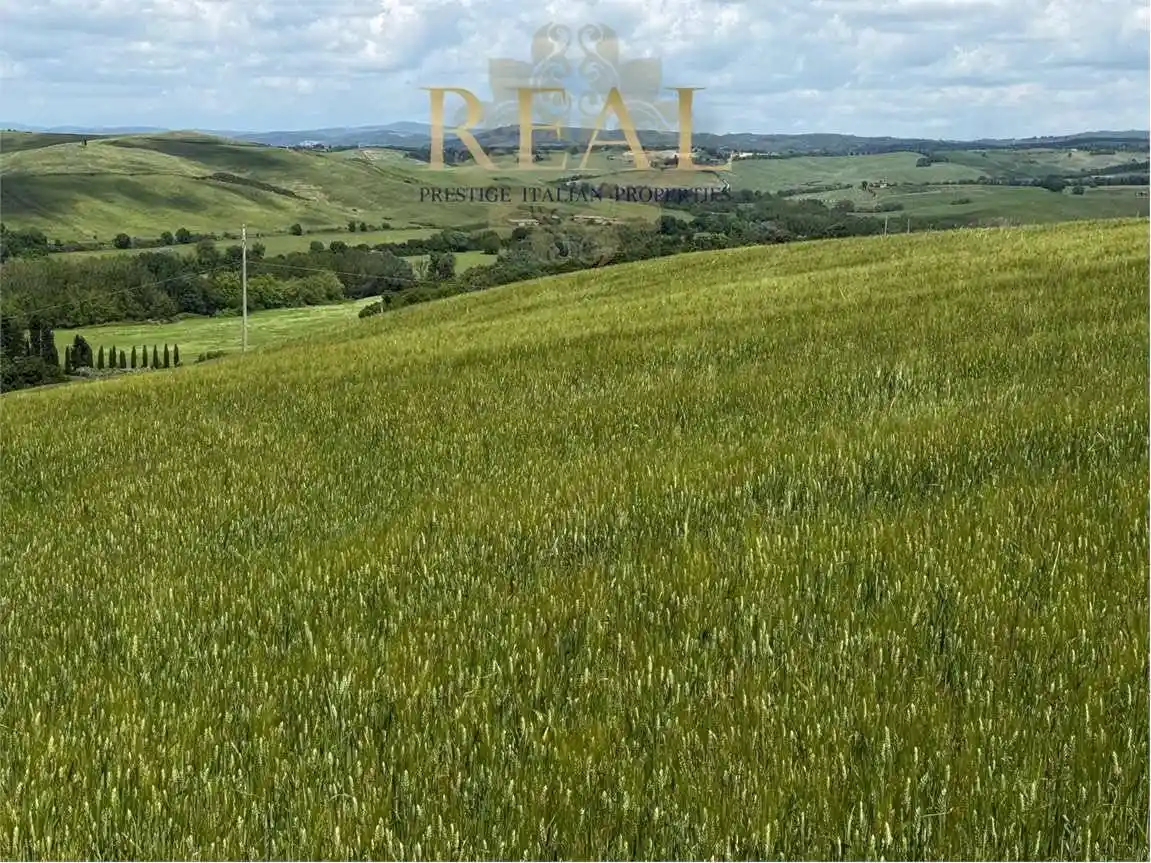 Rustico - Casale in vendita a Montalcino