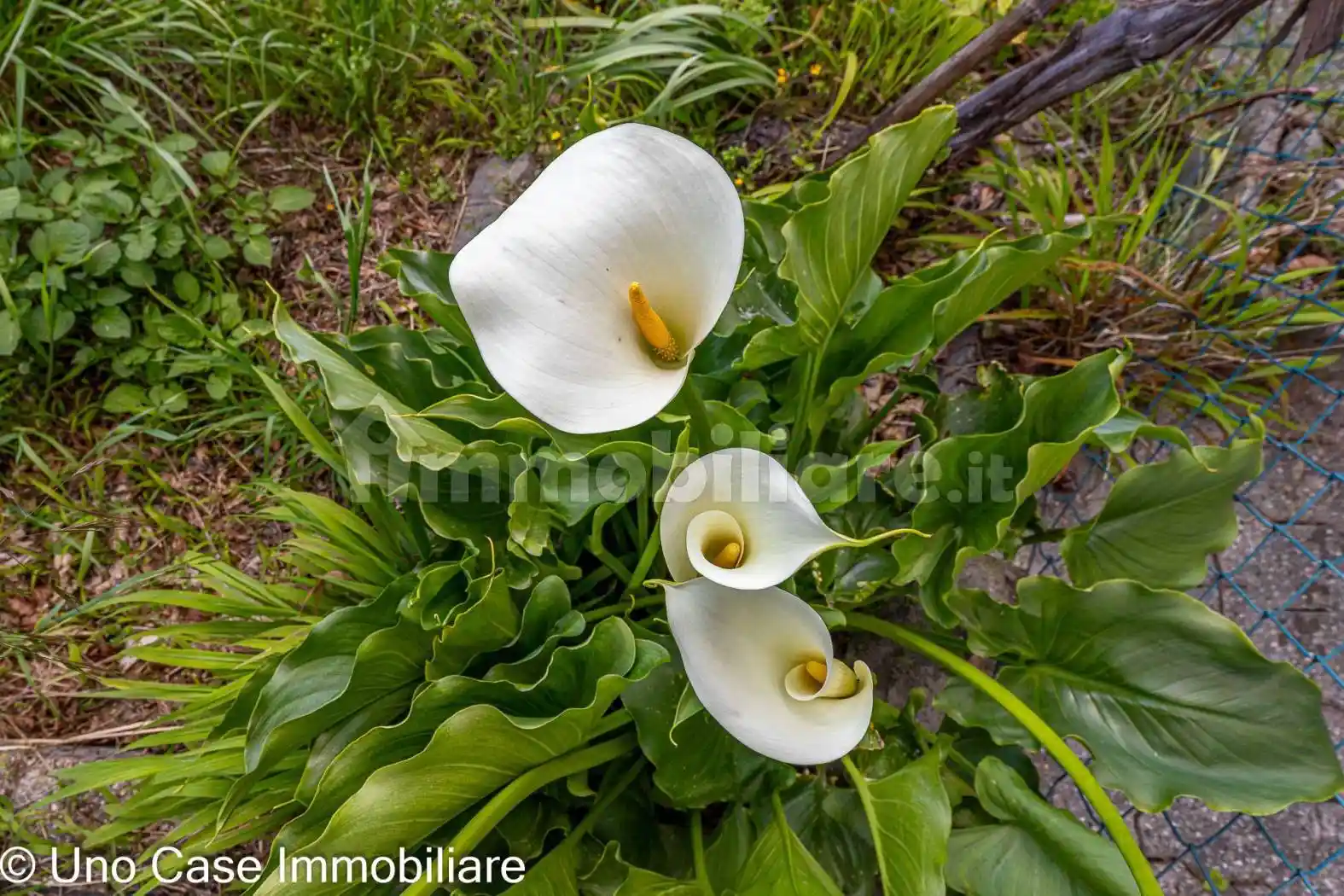 Rustico regione Santa Maria 3, Andrate - foto 5