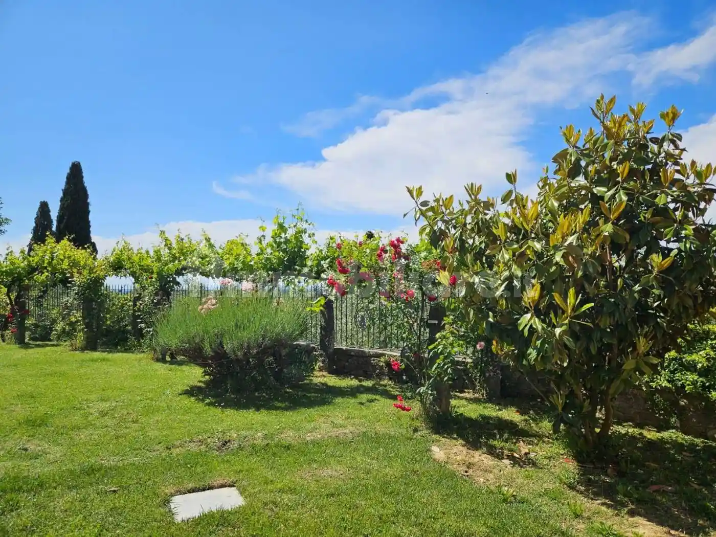 Villa unifamiliare Località Battifolle, Battifolle, Arezzo - foto 4