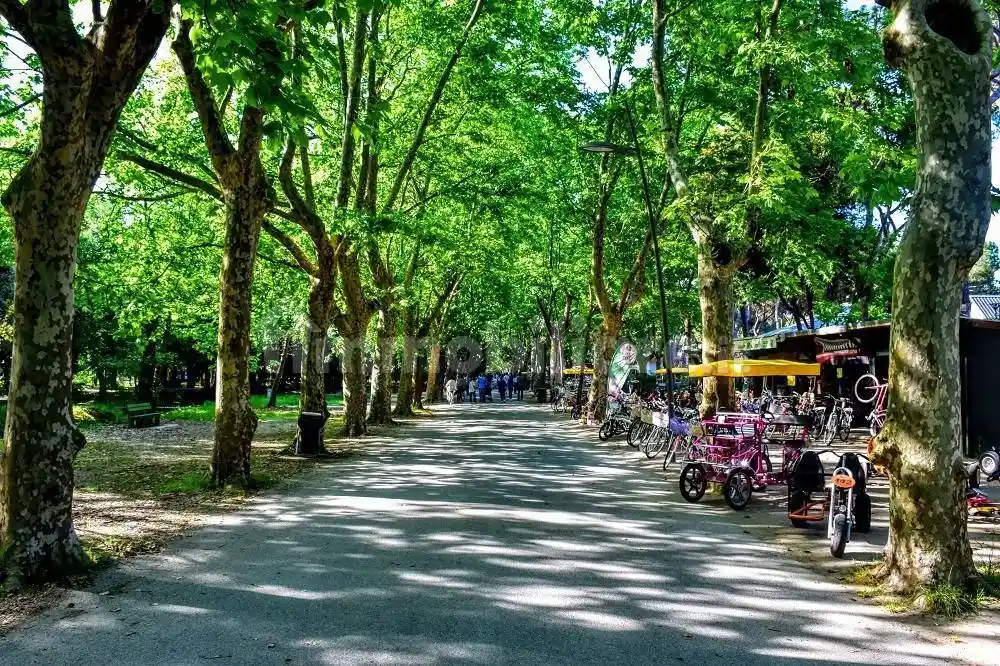 Appartamento in vendita a Viareggio