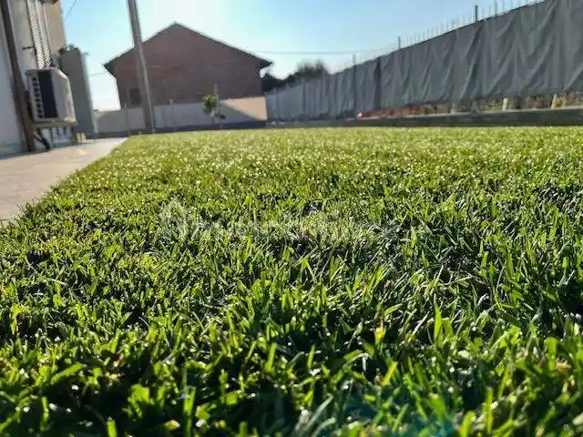 Villa a schiera Strada di Castagnito, Baraccone, Castagnito - foto 3