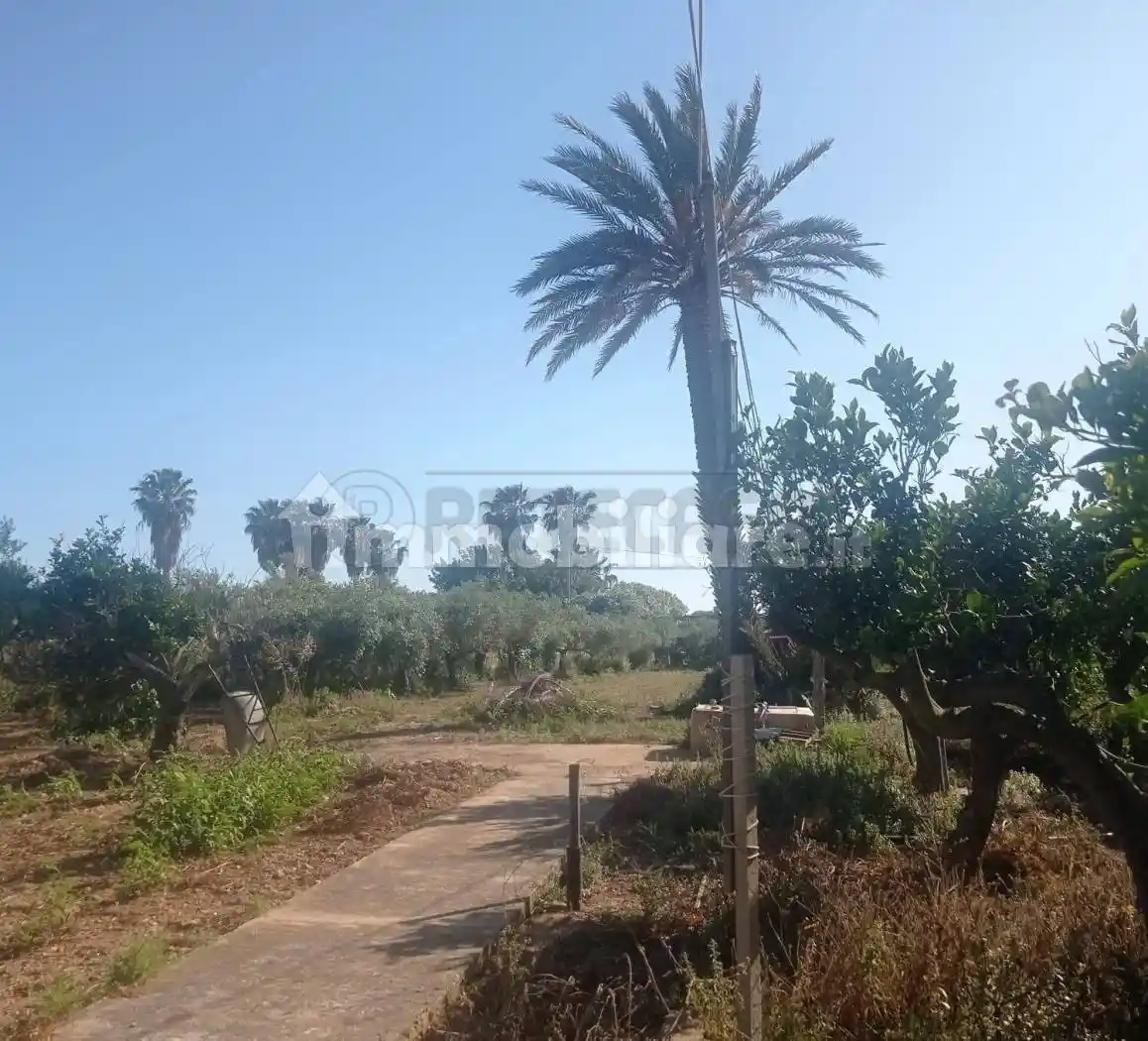Villa a schiera 5 locali, buono stato, Casabianca, Berbaro, Fossarunza, Marsala - foto 2