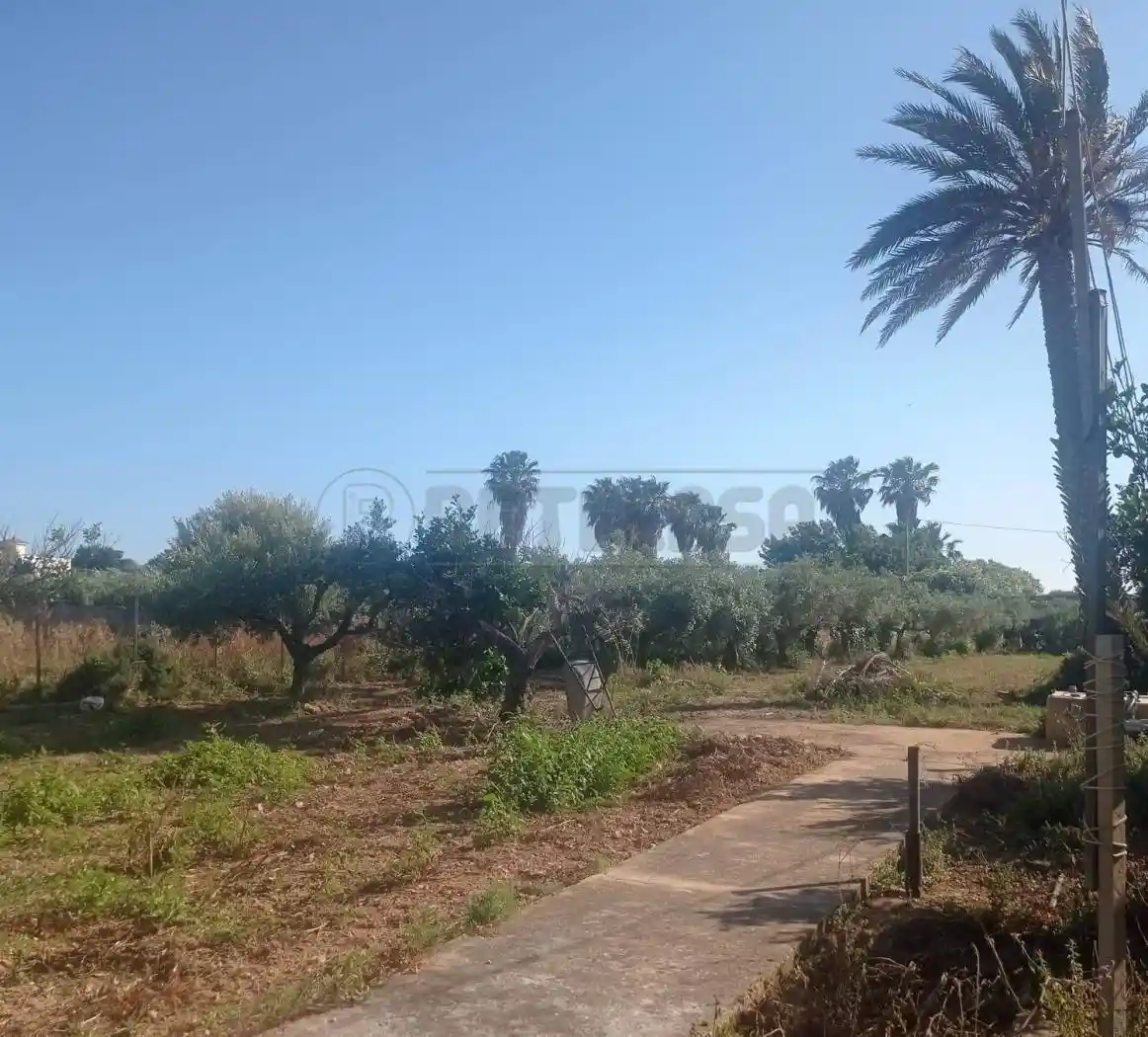Villa a schiera 5 locali, buono stato, Casabianca, Berbaro, Fossarunza, Marsala - foto 3