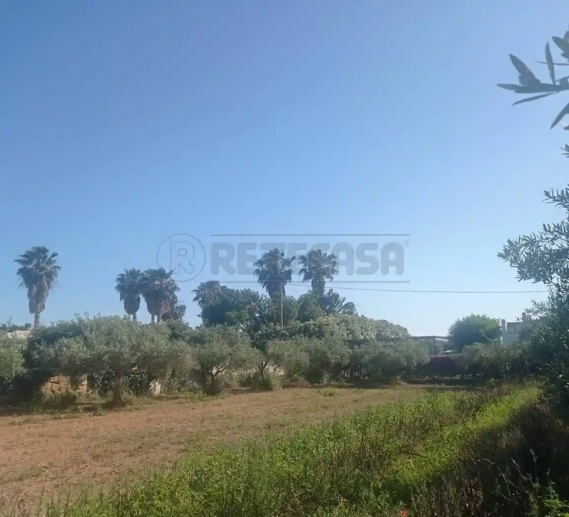 Villa a schiera 5 locali, buono stato, Casabianca, Berbaro, Fossarunza, Marsala - foto 4