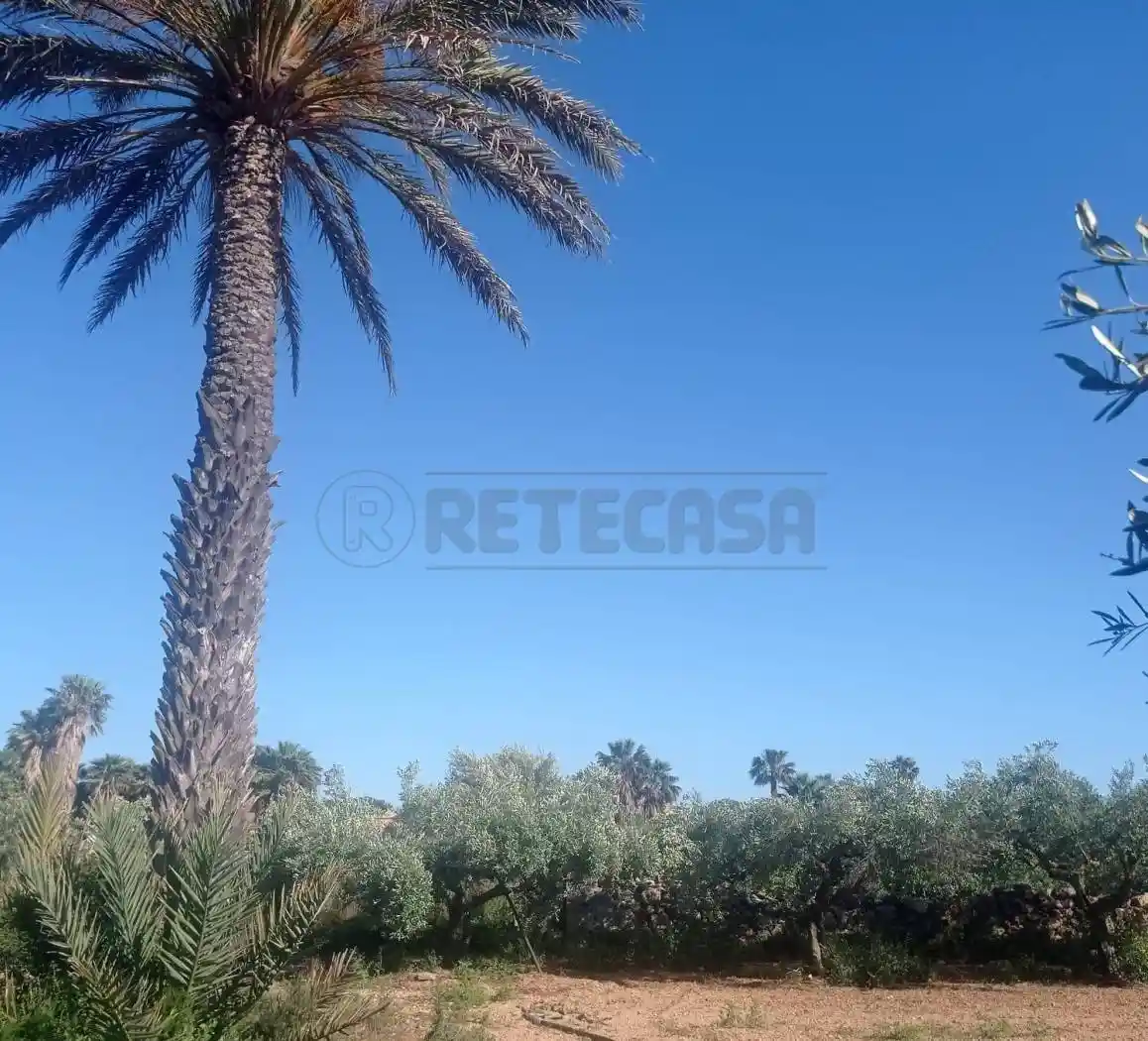 Villa a schiera 5 locali, buono stato, Casabianca, Berbaro, Fossarunza, Marsala - foto 5