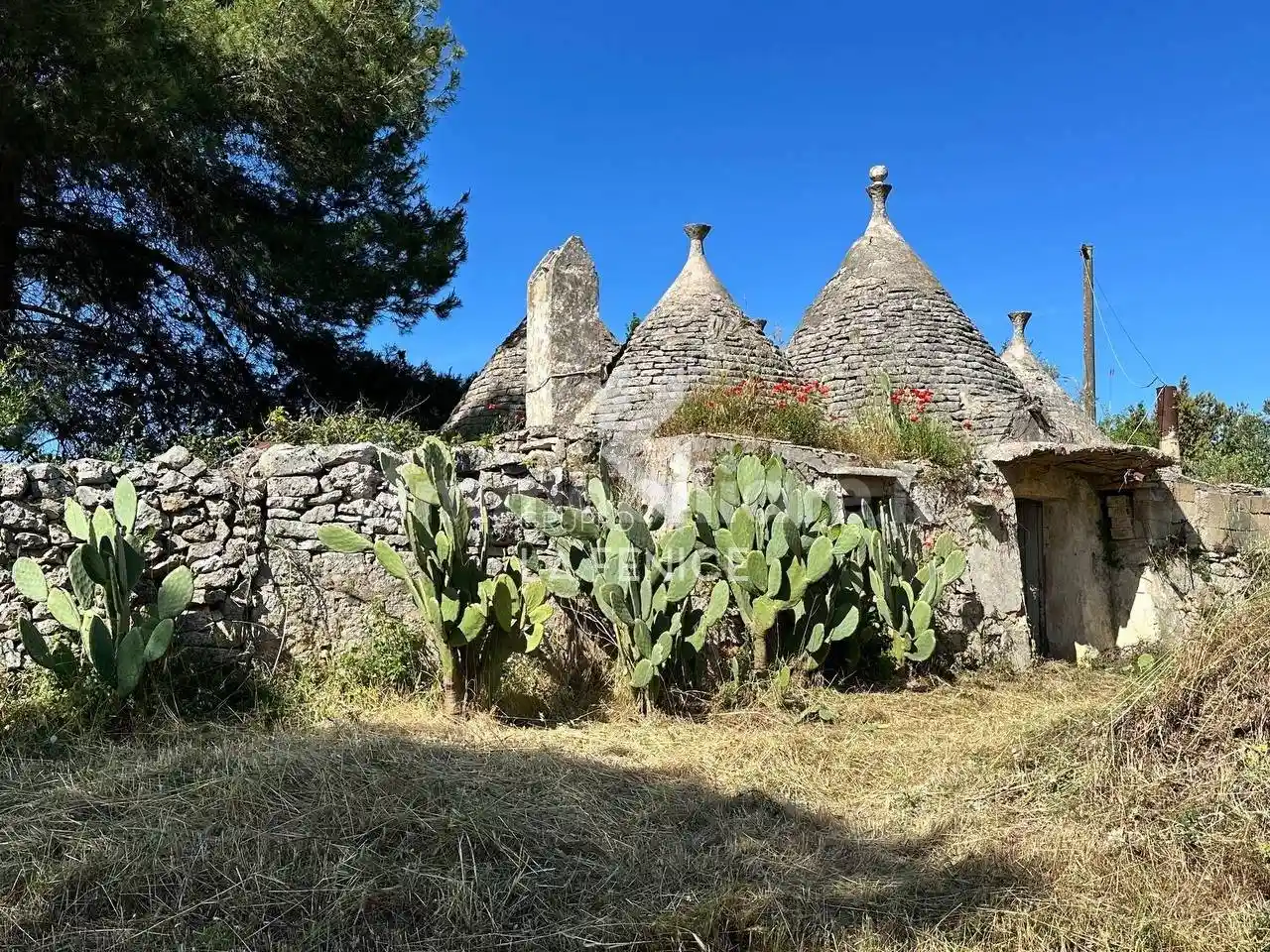 Rustico - Casale in vendita a Martina Franca