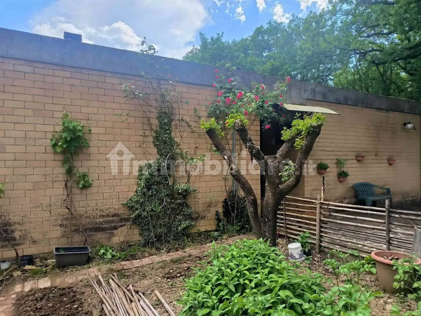 Terratetto unifamiliare via da frassini  20, Frassini, Chiusdino - foto 3