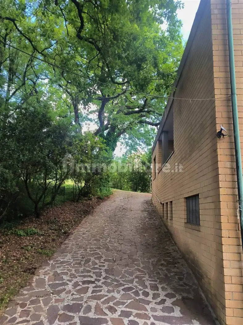 Terratetto unifamiliare via da frassini  20, Frassini, Chiusdino - foto 4