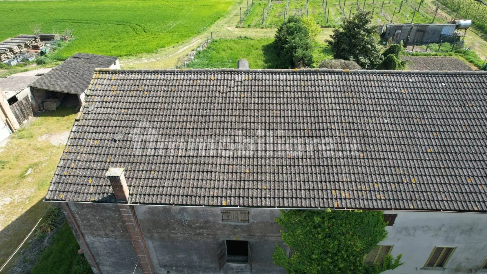 Appartamento via Stradone Runzi 2029, Bagnolo di Po - foto 2