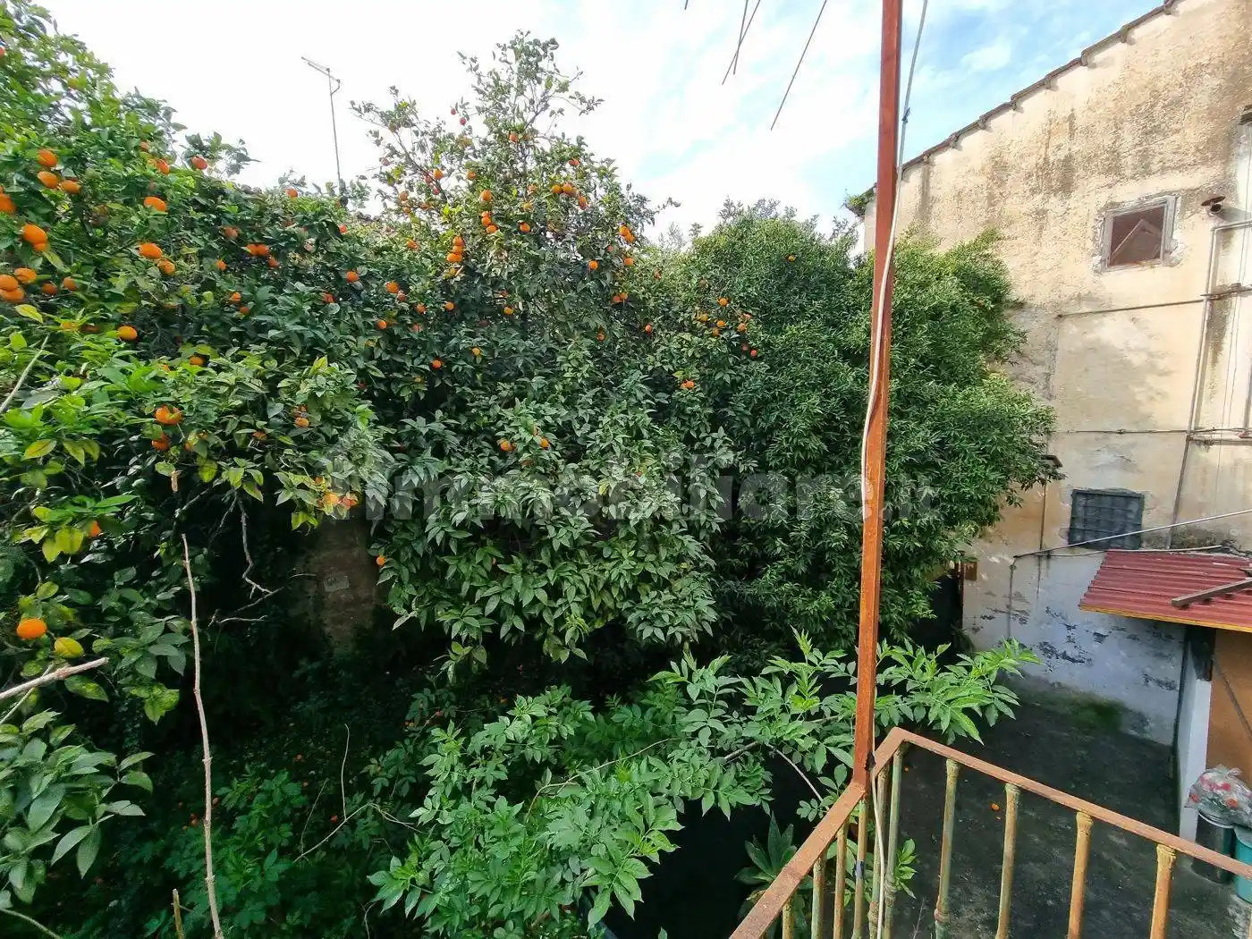 Terratetto unifamiliare via Camusso, 15, Ercole, Caserta - foto 5