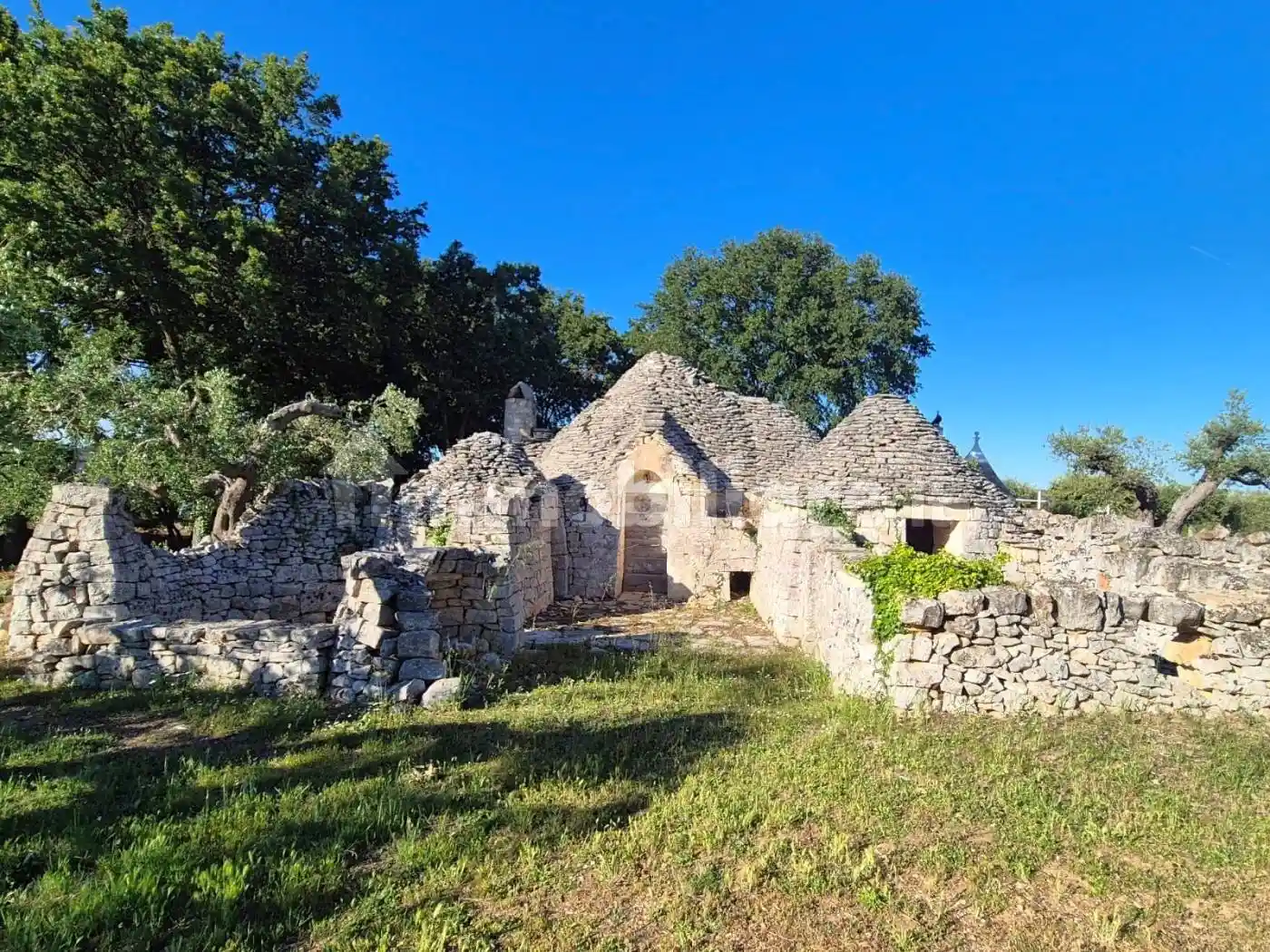 Rustico - Casale in vendita a Locorotondo