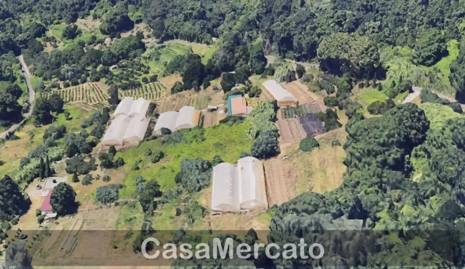 Villa unifamiliare via del Tempio di Diana, Nemi - foto 3