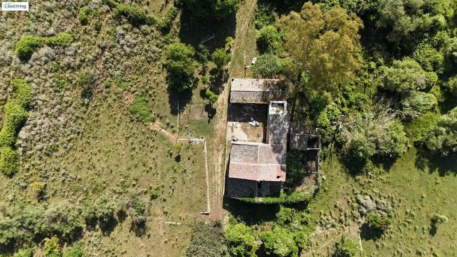 Rustico - Casale - foto 4