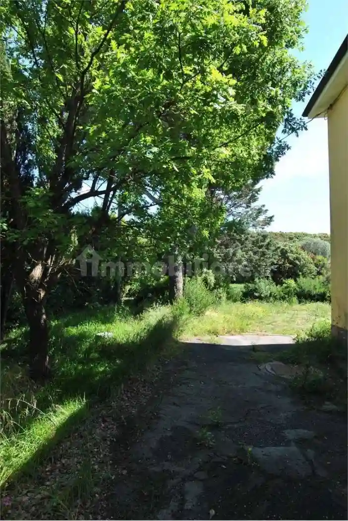 Palazzo - Edificio - foto 4