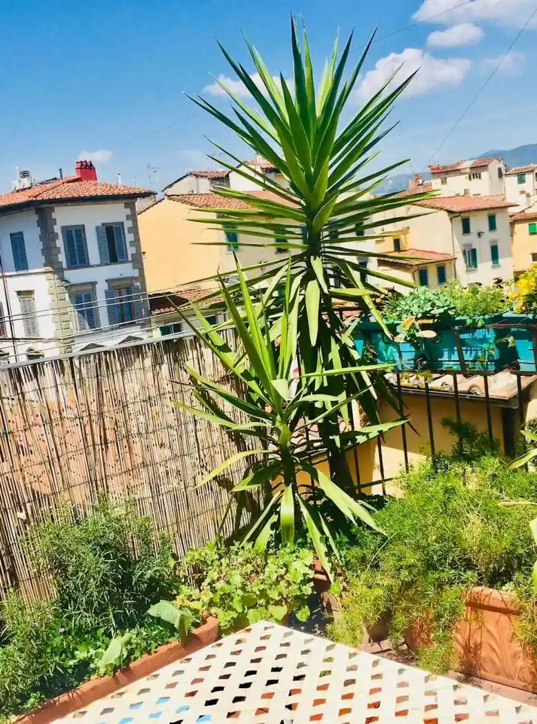 Appartamento in affitto a Firenze