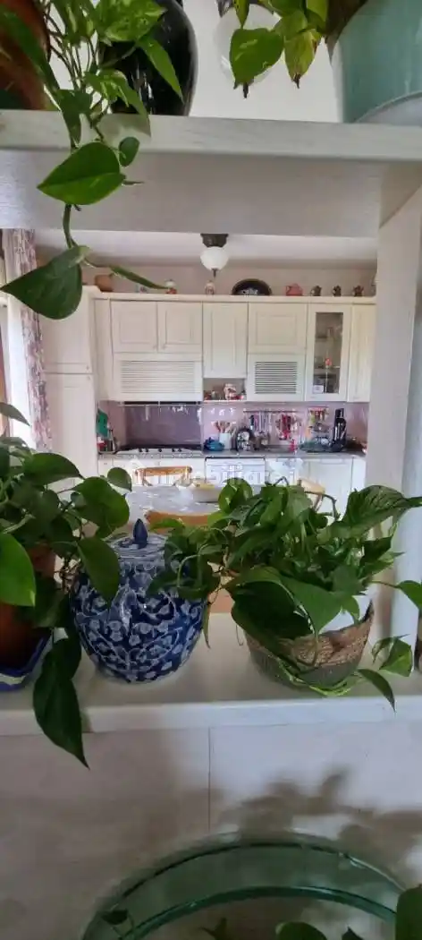 Villa bifamiliare via Alessi di Turio, Mater Domini - Cavita, Catanzaro - foto 5