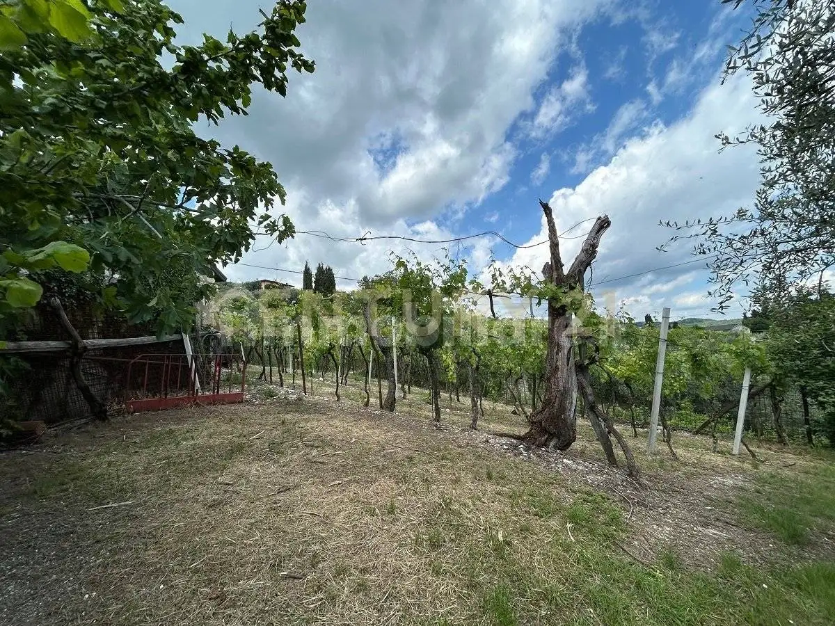 Rustico - Casale in vendita a Mezzane di Sotto