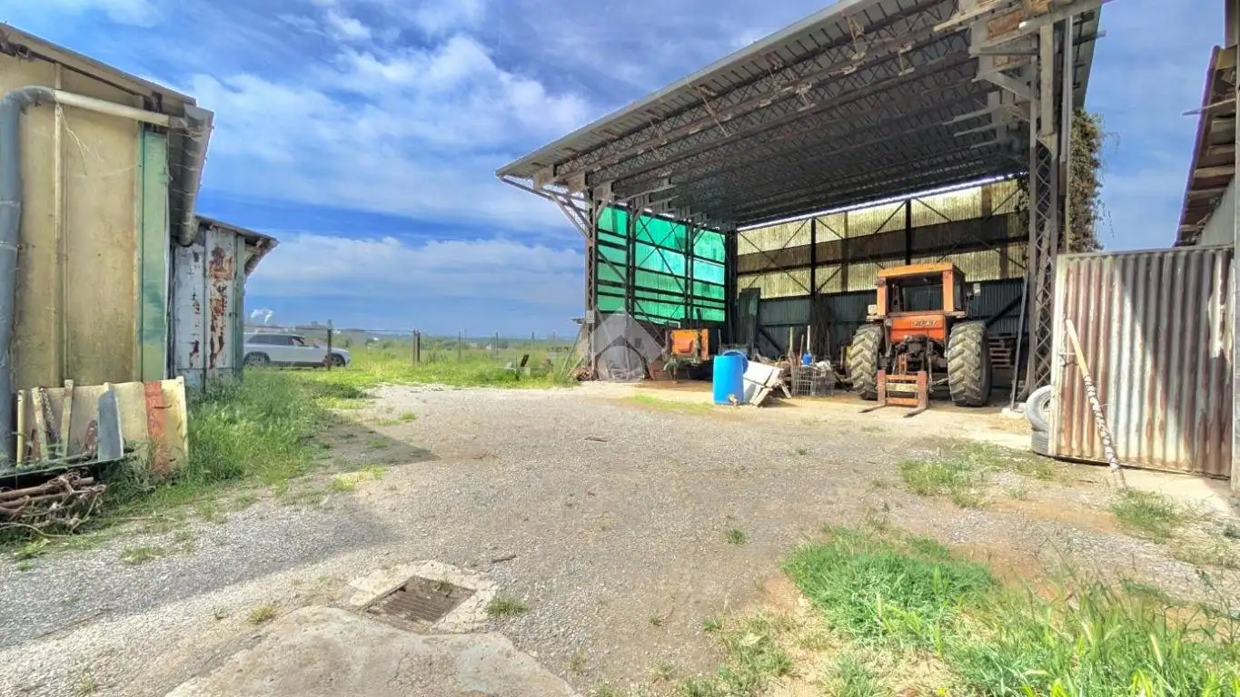 Rustico Strada Vicinale Santa Maria 13, Cassano Spinola - foto 5