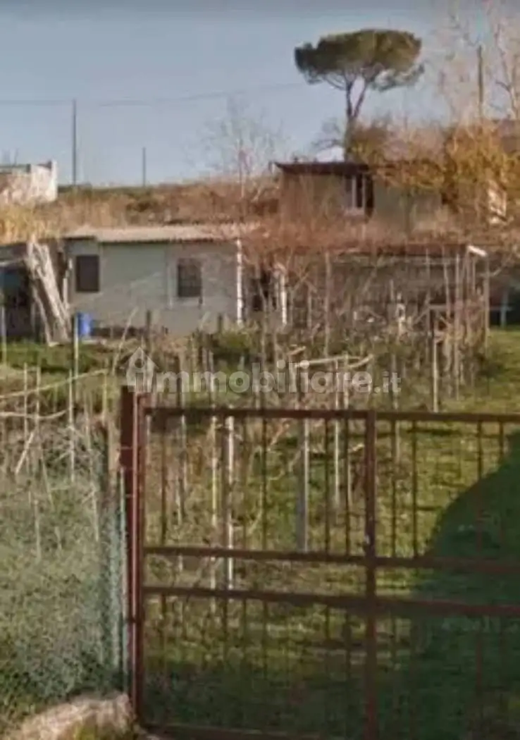 Villa a schiera località Pito, Acquasanta Terme - foto 5