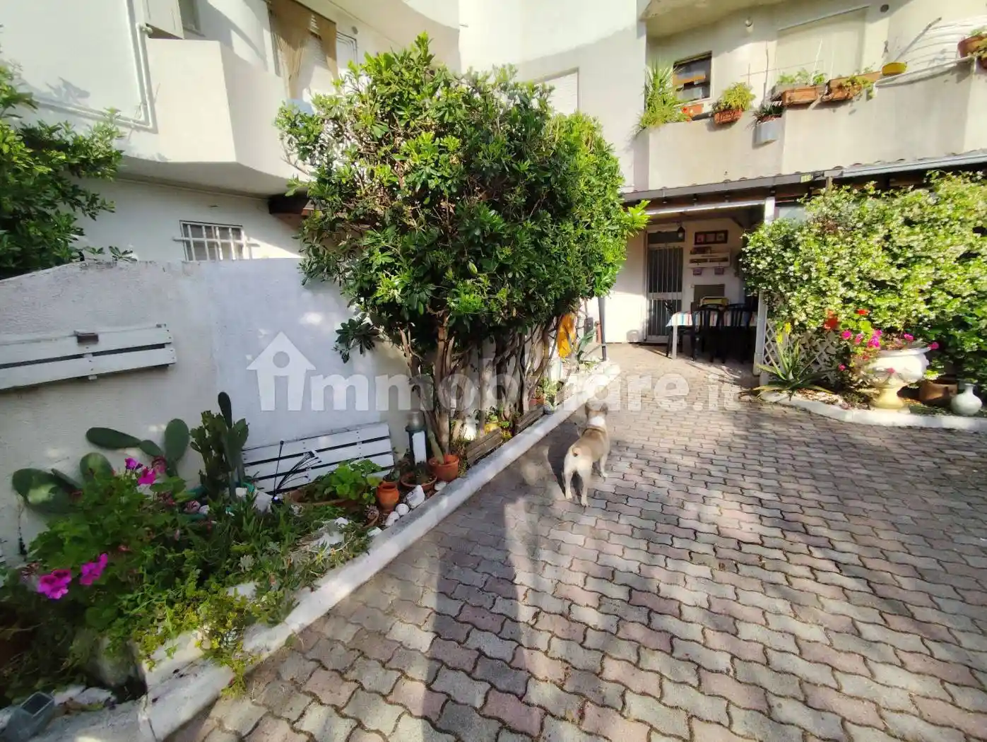 Villa plurifamiliare via Grecale 11, Vasto Marina, Vasto - foto 3